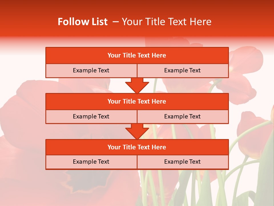 Tulpen PowerPoint Template