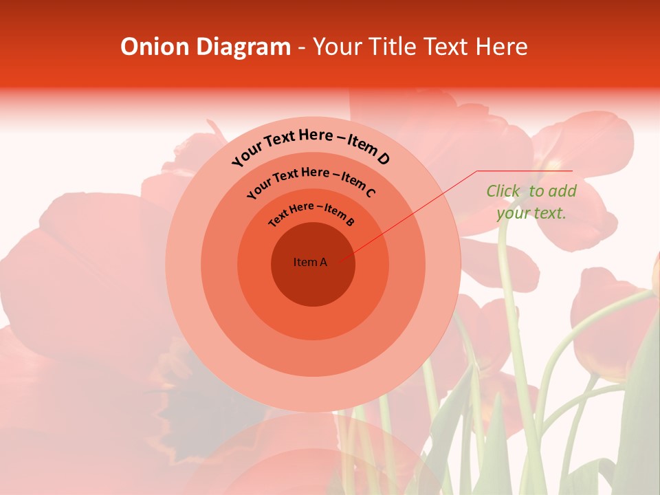 Tulpen PowerPoint Template