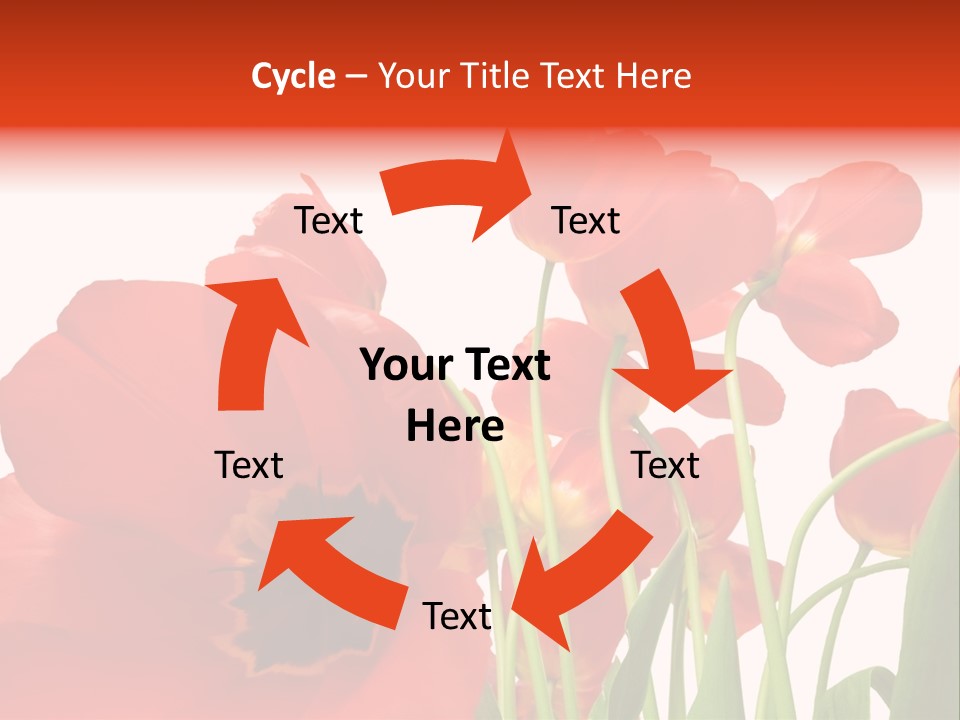 Tulpen PowerPoint Template