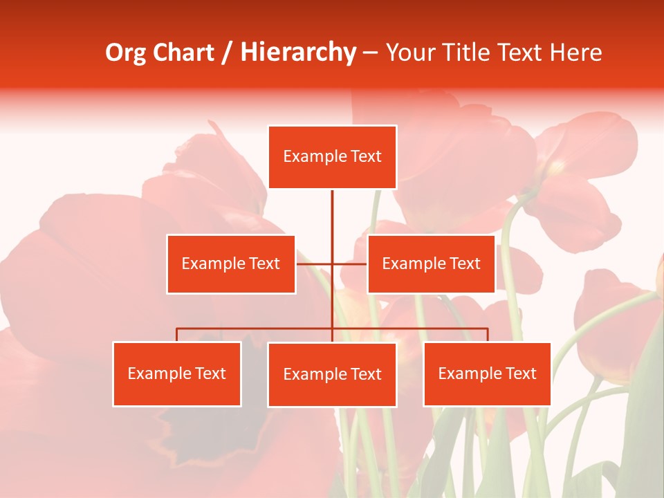 Tulpen PowerPoint Template