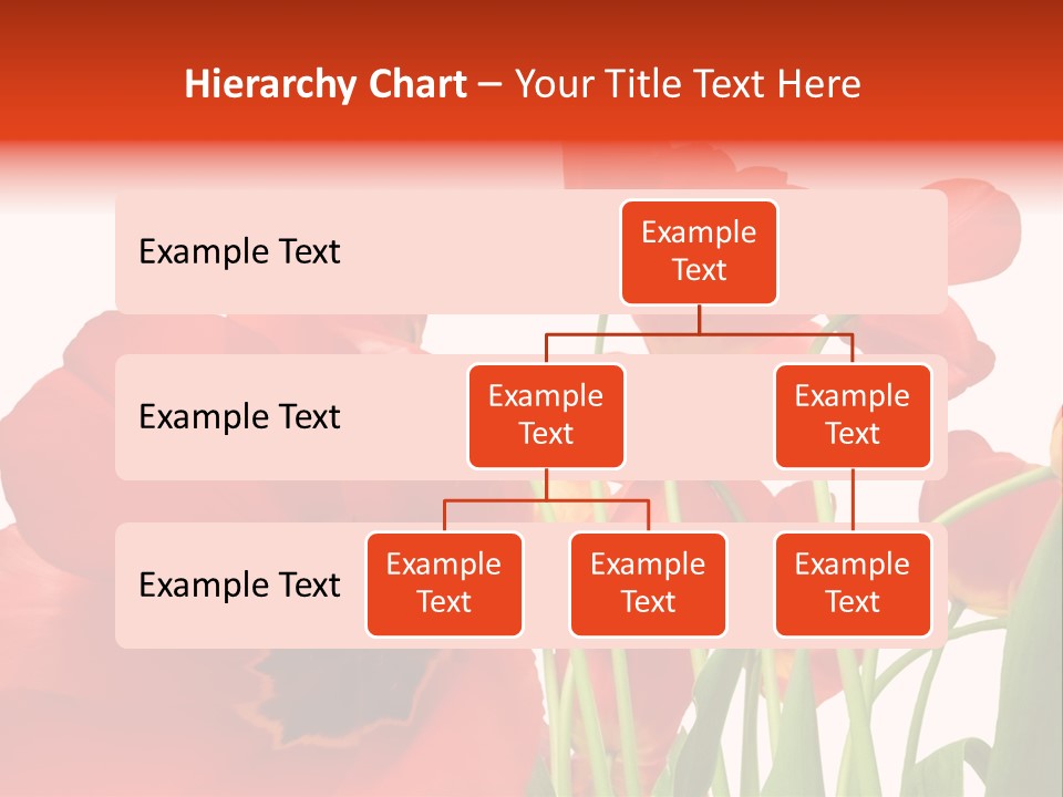 Tulpen PowerPoint Template