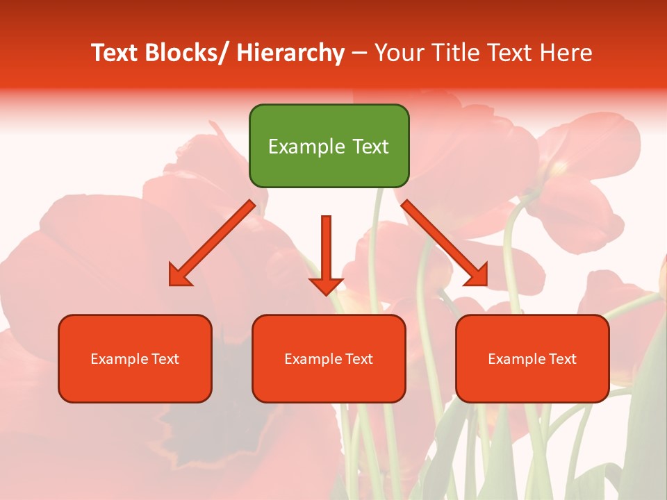 Tulpen PowerPoint Template
