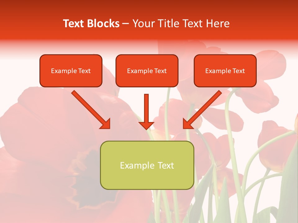 Tulpen PowerPoint Template