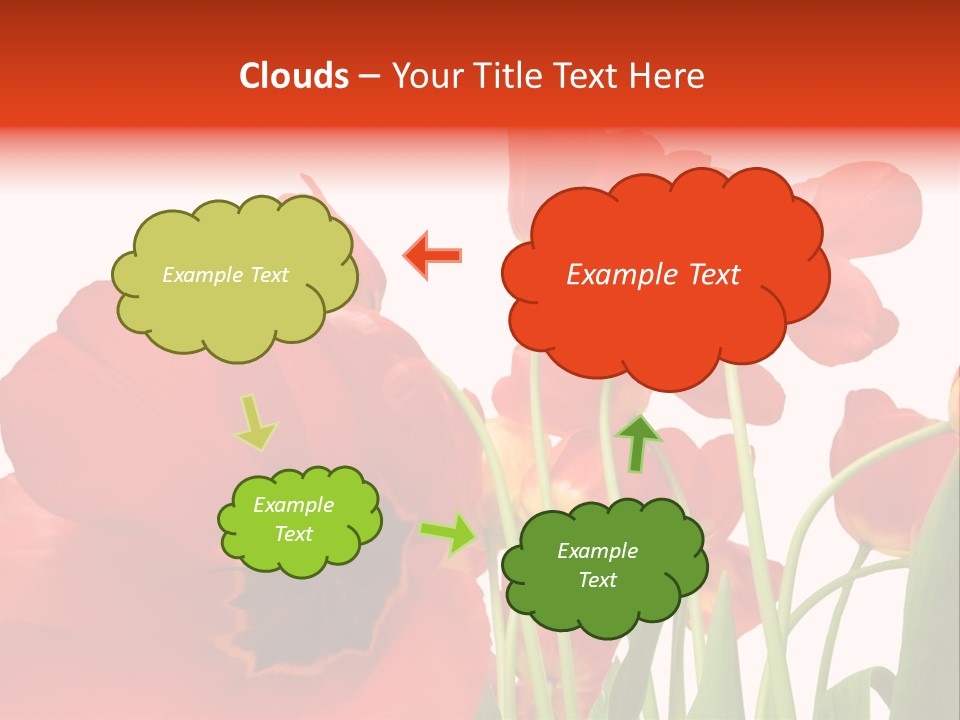 Tulpen PowerPoint Template