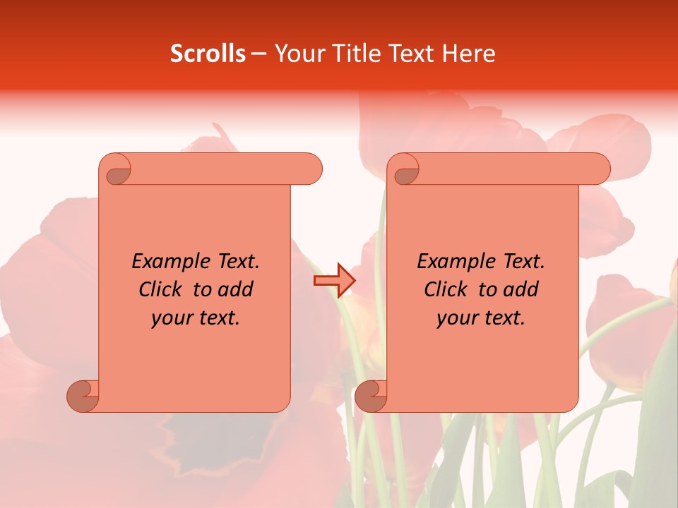 Tulpen PowerPoint Template