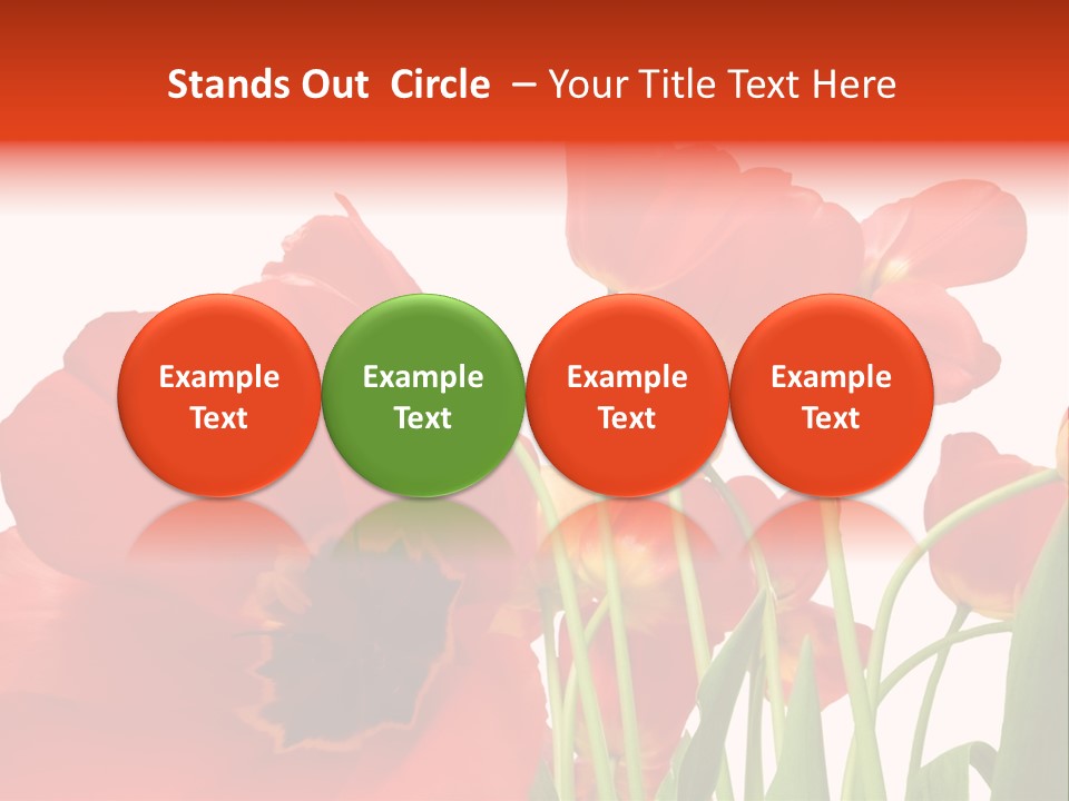 Tulpen PowerPoint Template