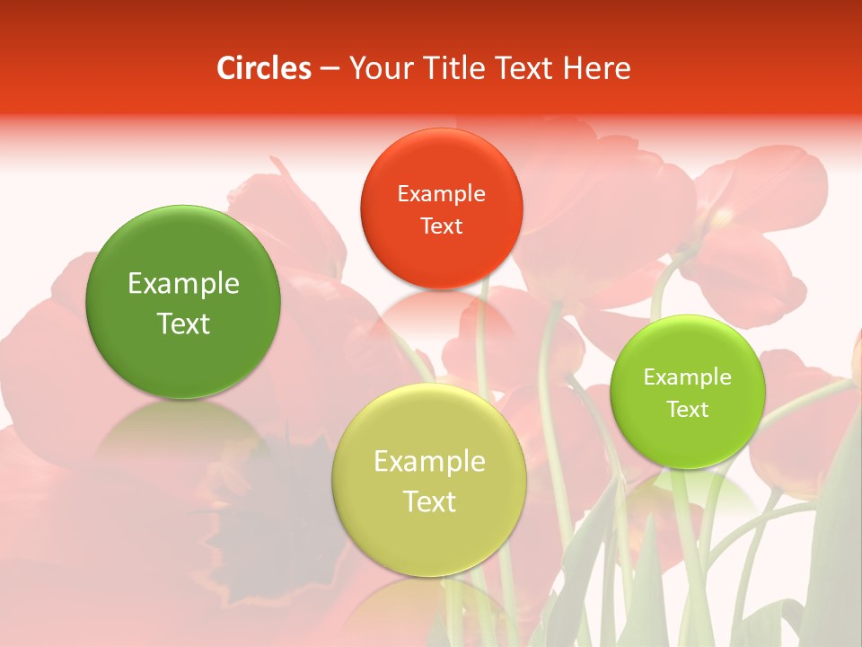 Tulpen PowerPoint Template
