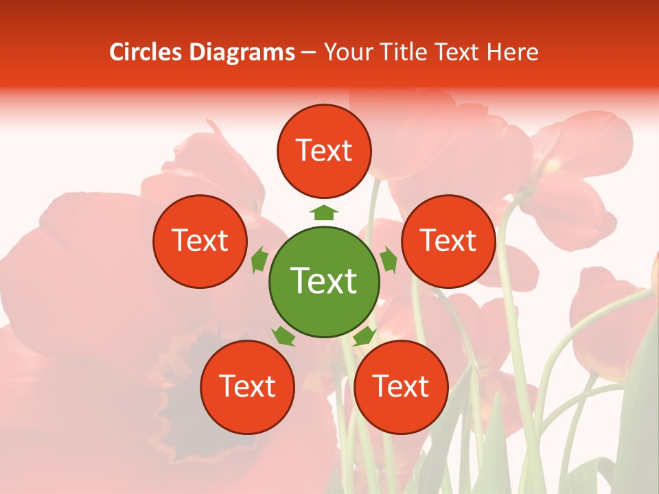 Tulpen PowerPoint Template