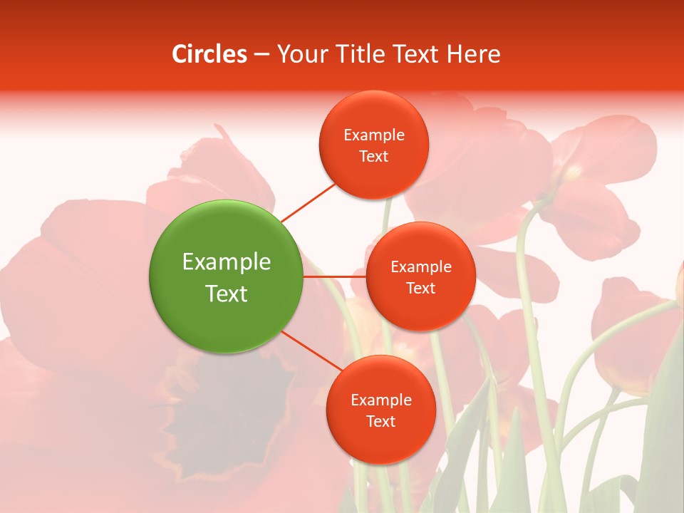 Tulpen PowerPoint Template