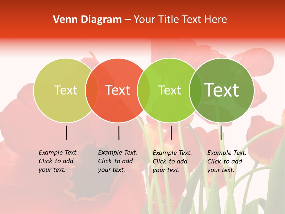 Tulpen PowerPoint Template