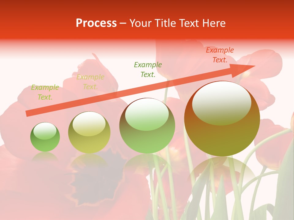 Tulpen PowerPoint Template