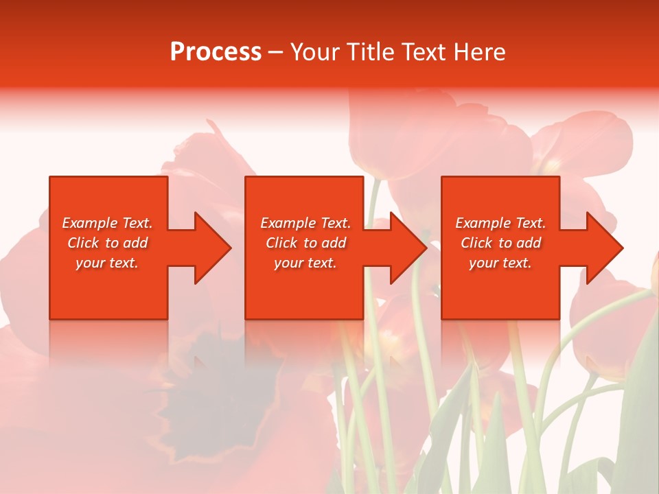 Tulpen PowerPoint Template