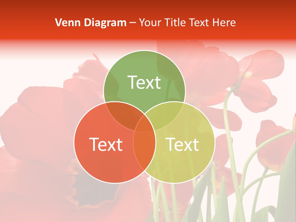 Tulpen PowerPoint Template
