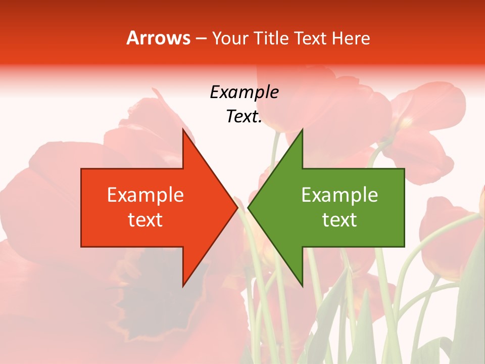 Tulpen PowerPoint Template