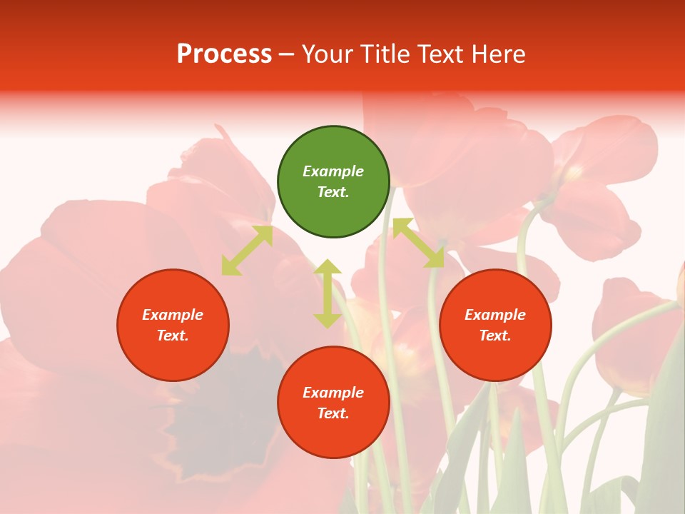 Tulpen PowerPoint Template