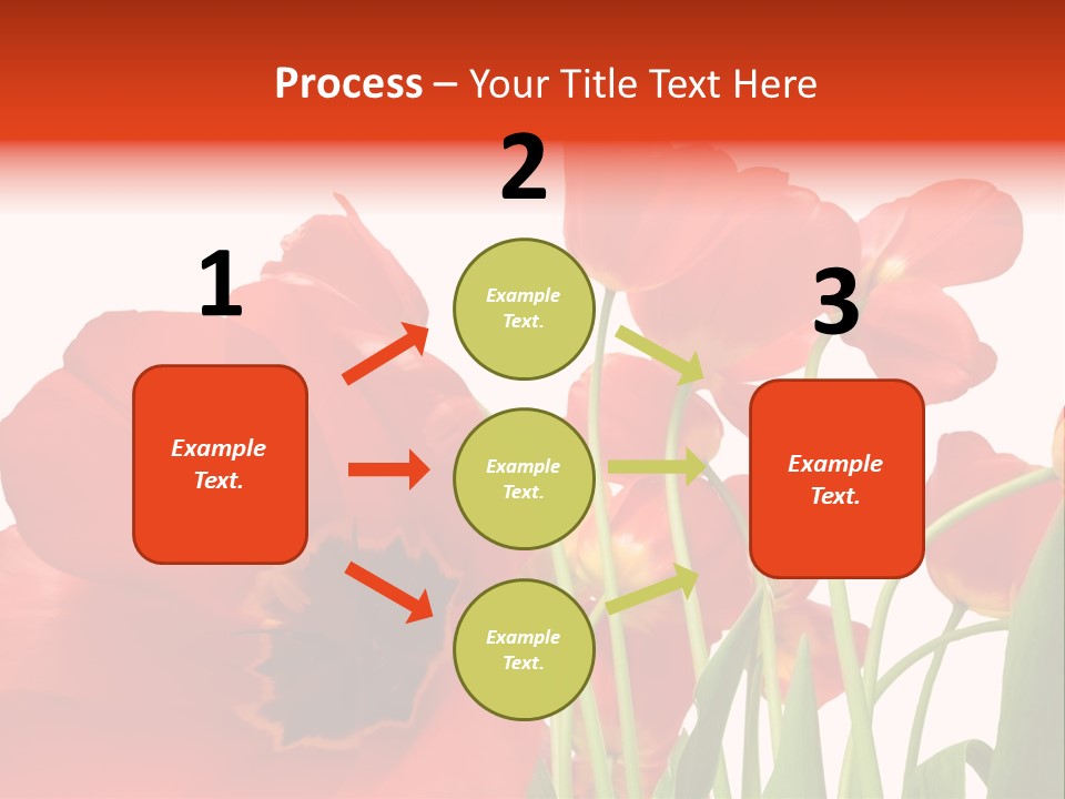 Tulpen PowerPoint Template