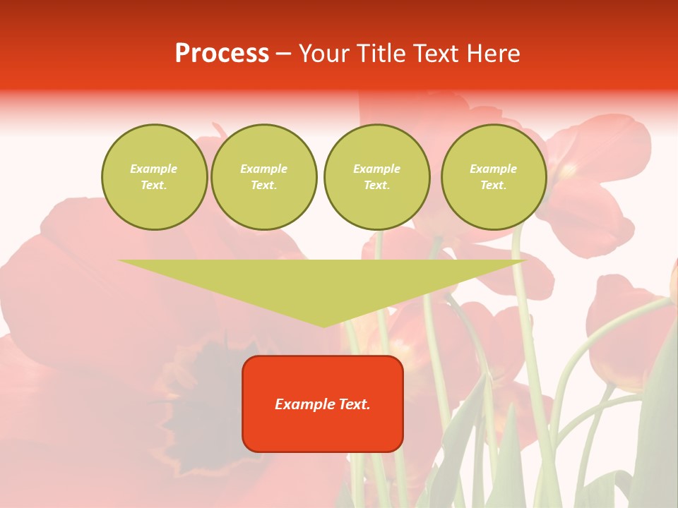 Tulpen PowerPoint Template