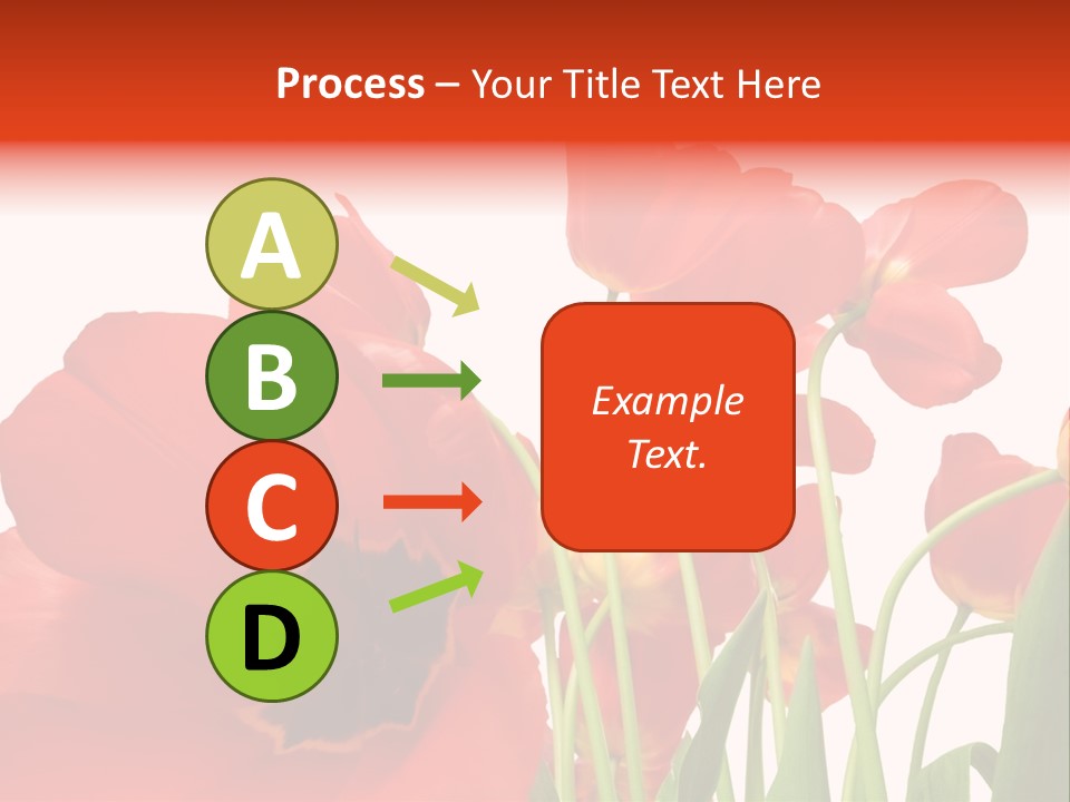 Tulpen PowerPoint Template