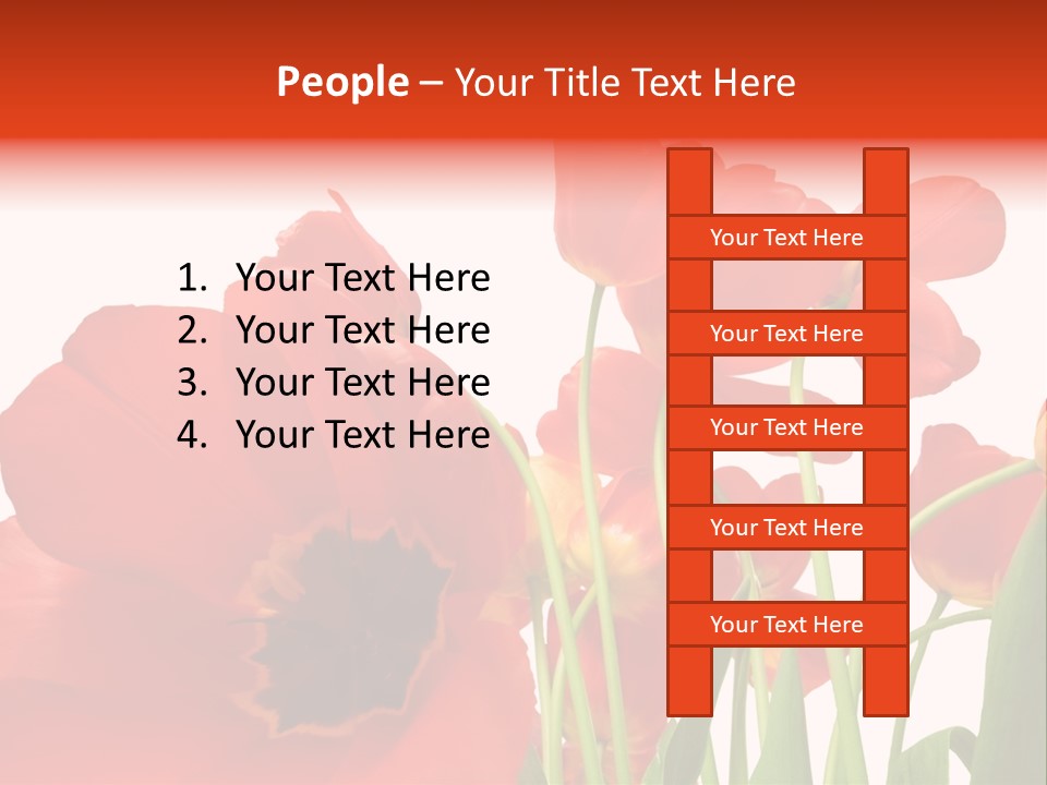 Tulpen PowerPoint Template