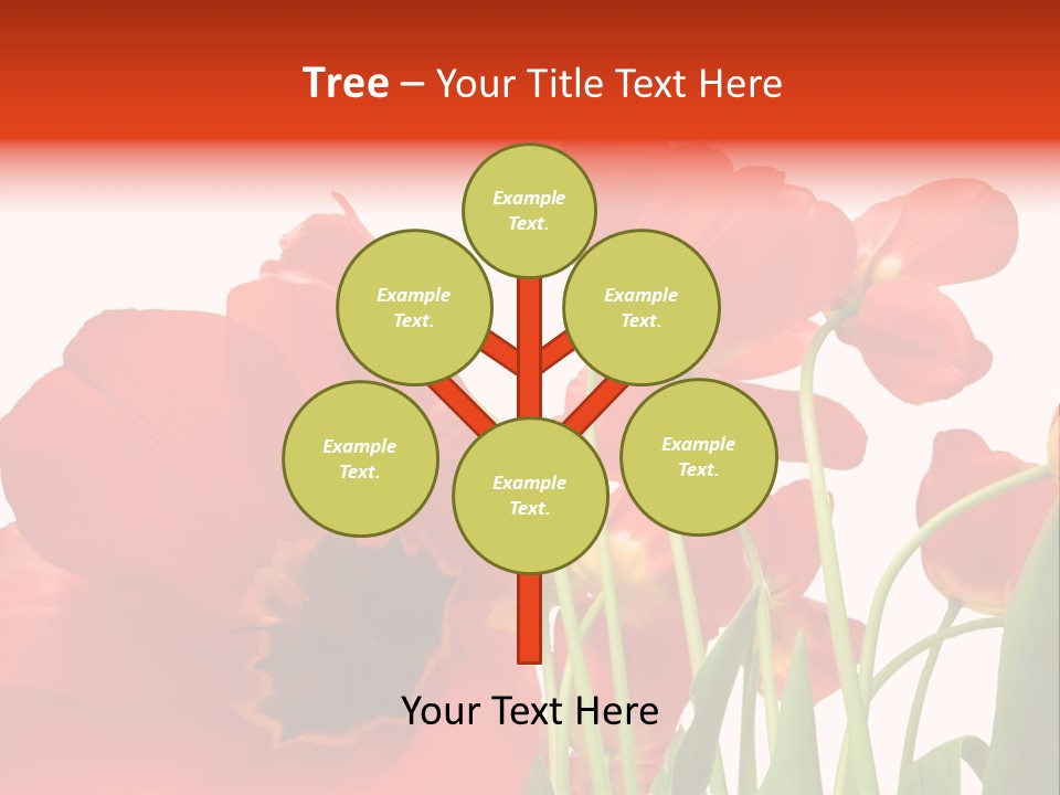 Tulpen PowerPoint Template