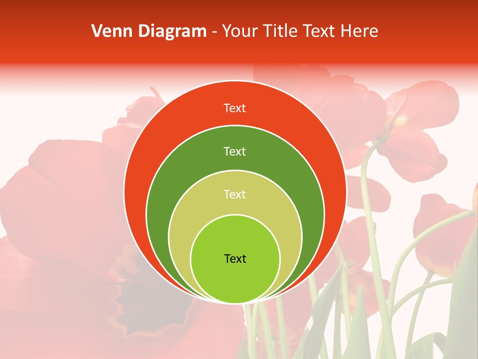 Tulpen PowerPoint Template