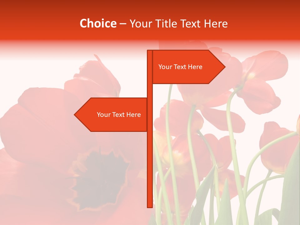 Tulpen PowerPoint Template