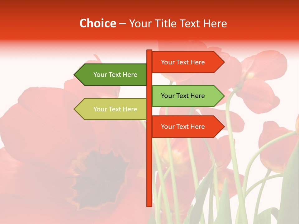 Tulpen PowerPoint Template