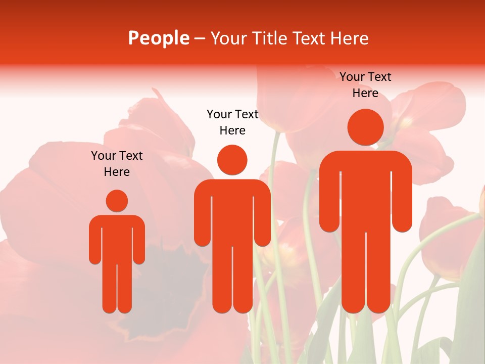 Tulpen PowerPoint Template