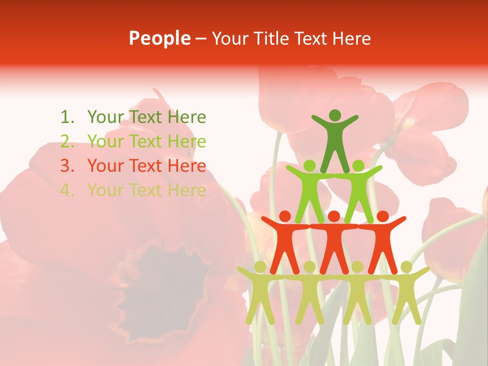 Tulpen PowerPoint Template