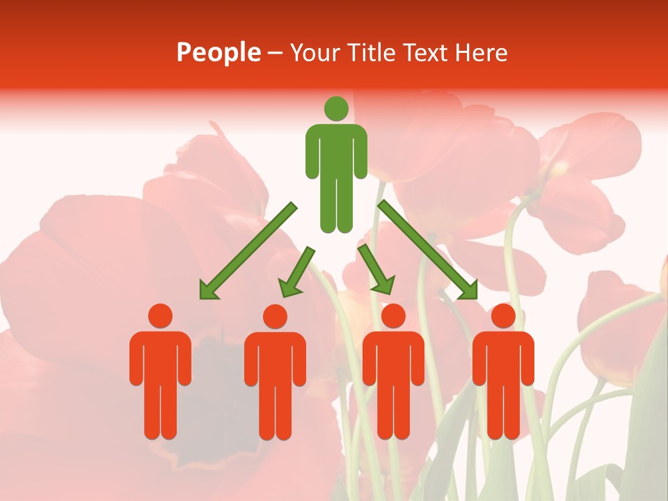 Tulpen PowerPoint Template