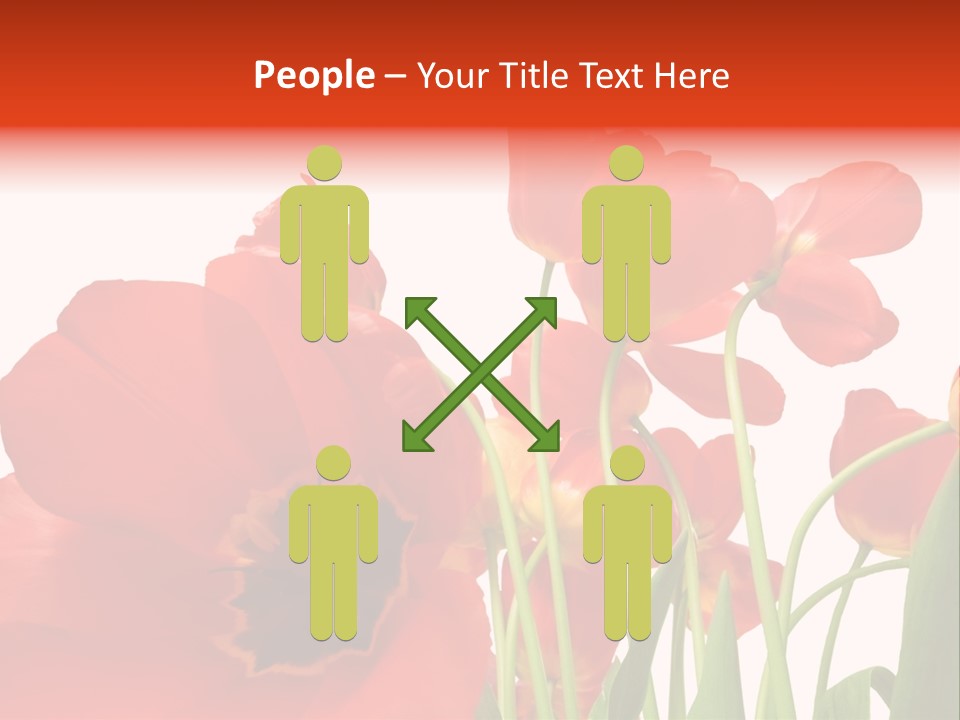 Tulpen PowerPoint Template