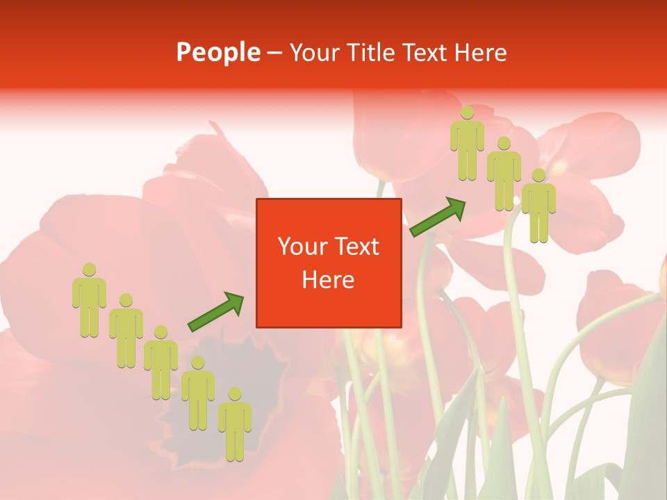 Tulpen PowerPoint Template