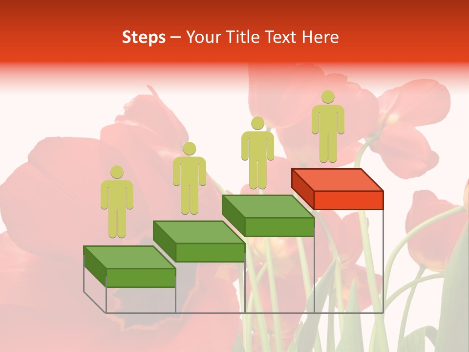 Tulpen PowerPoint Template
