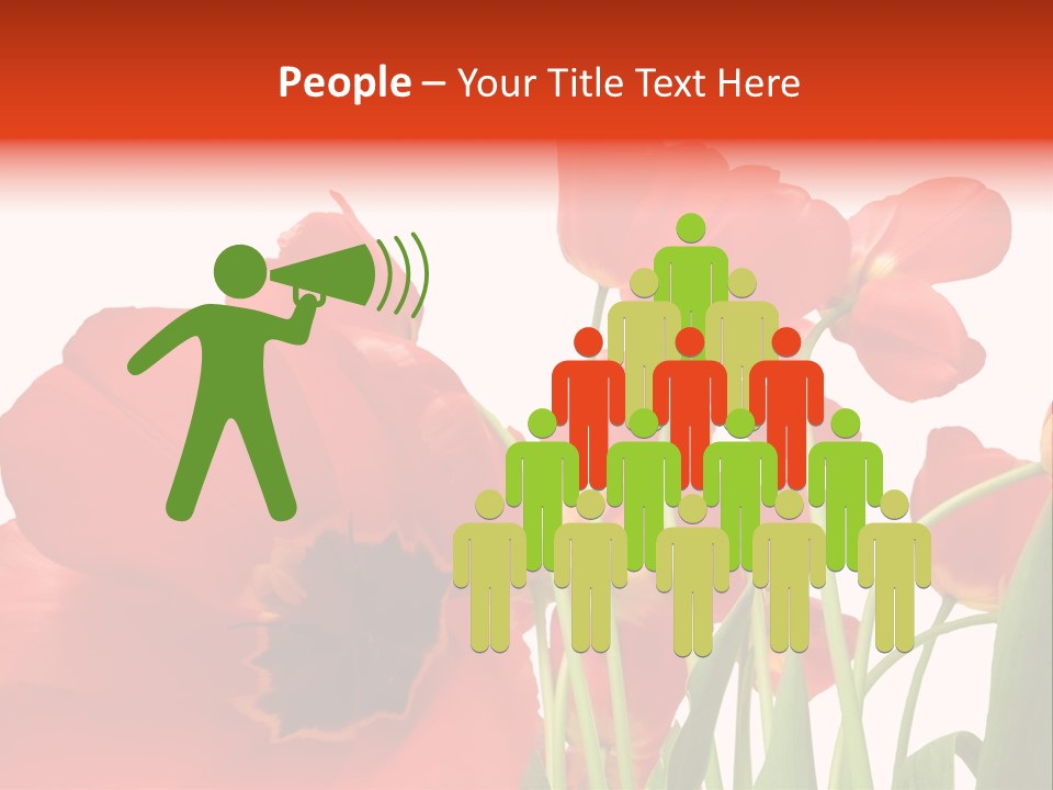 Tulpen PowerPoint Template