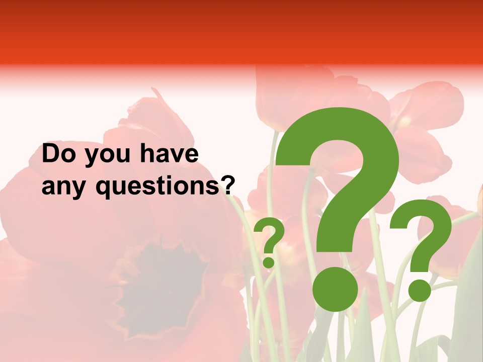 Tulpen PowerPoint Template