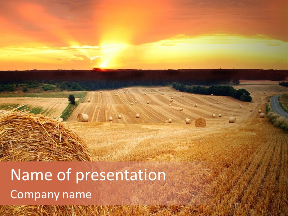 Straw Field PowerPoint Template