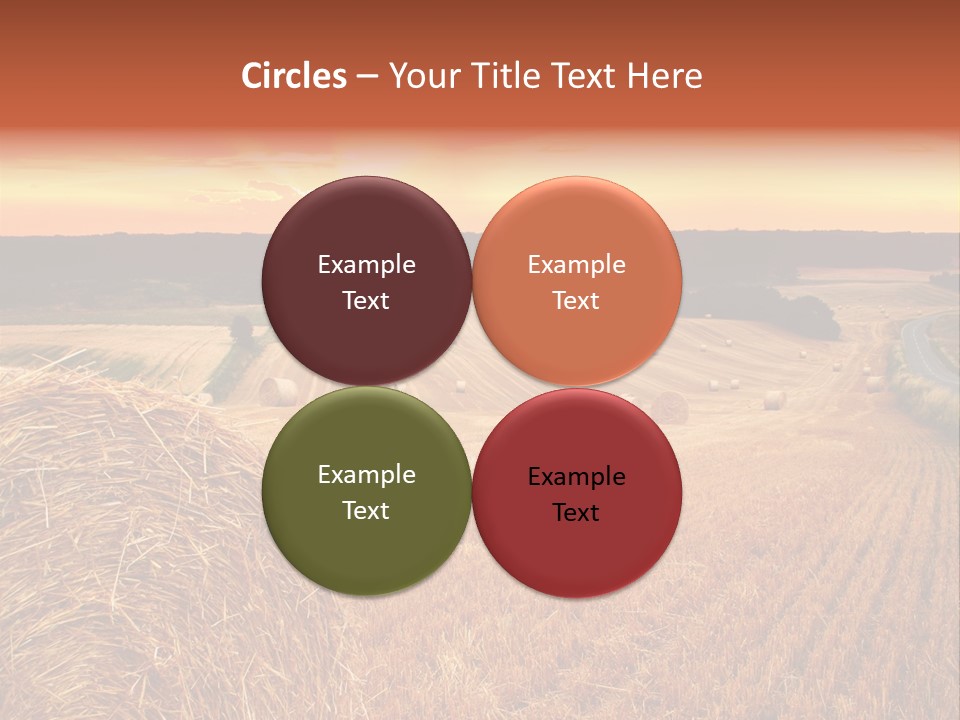 Straw Field PowerPoint Template