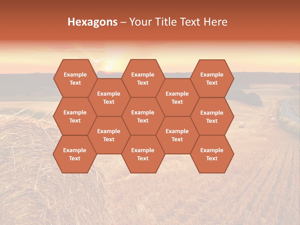 Straw Field PowerPoint Template
