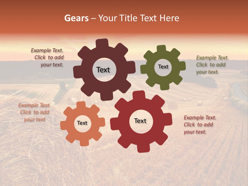 Straw Field PowerPoint Template