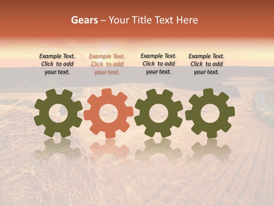 Straw Field PowerPoint Template