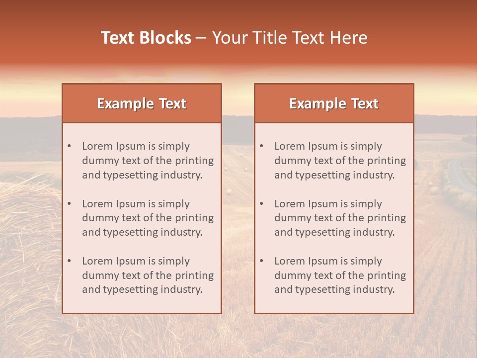 Straw Field PowerPoint Template
