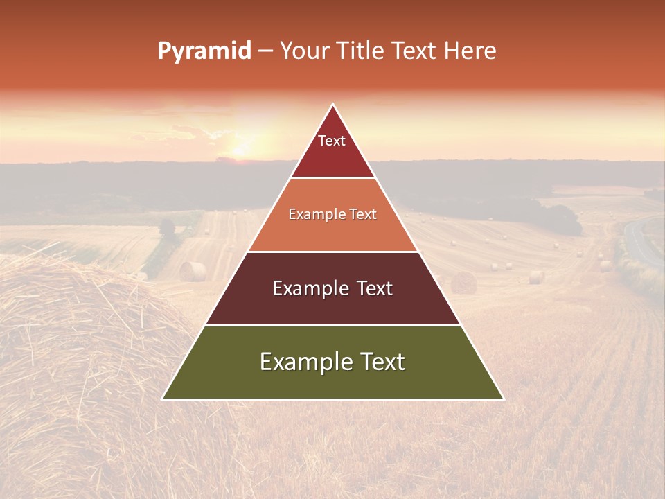 Straw Field PowerPoint Template