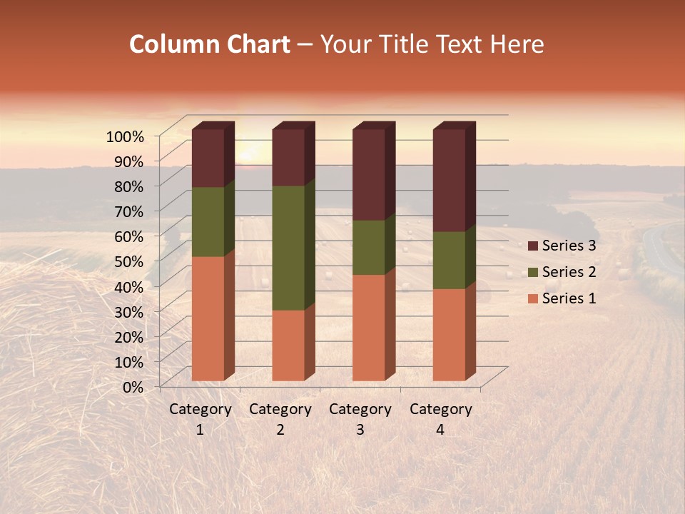 Straw Field PowerPoint Template