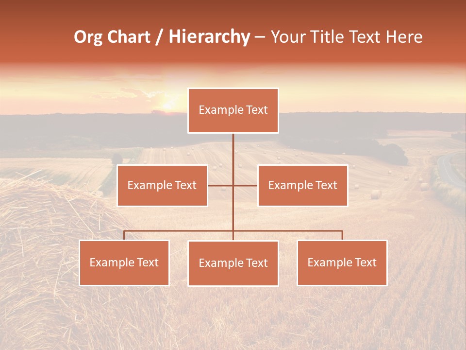 Straw Field PowerPoint Template