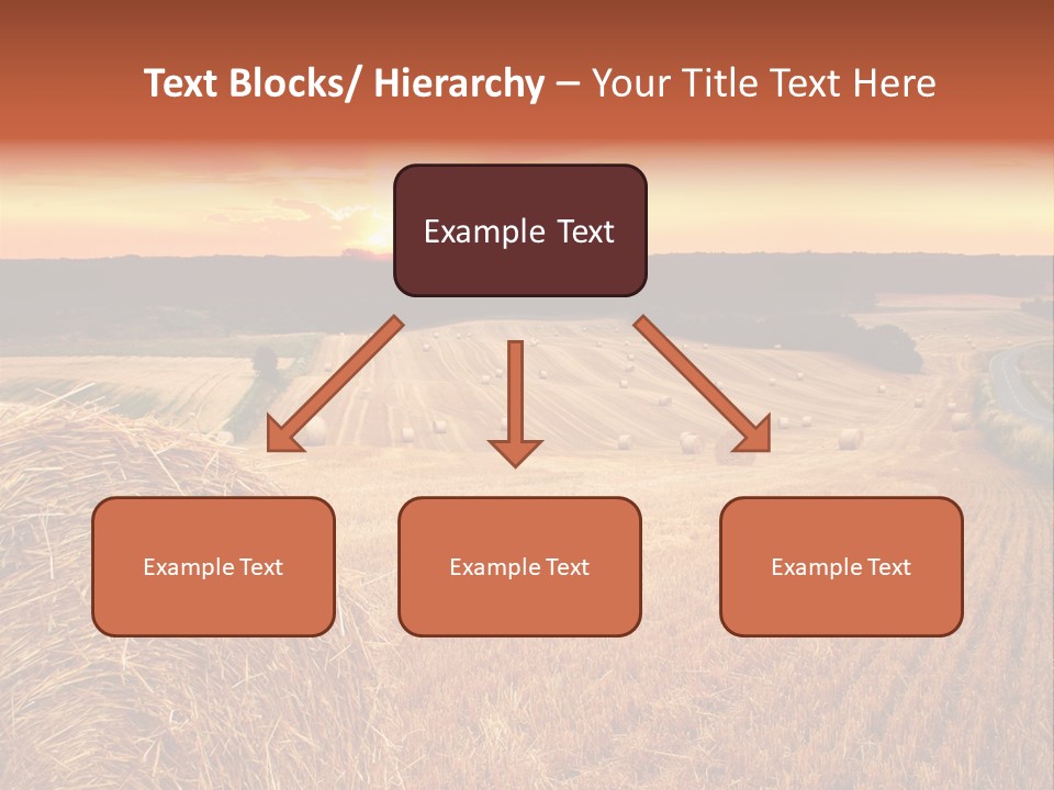 Straw Field PowerPoint Template
