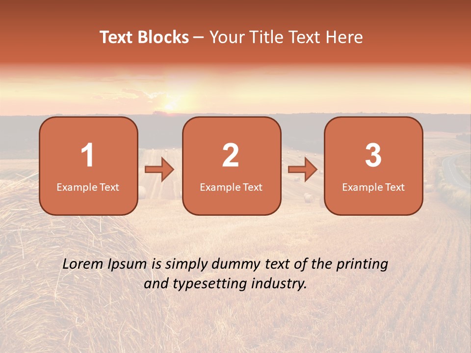 Straw Field PowerPoint Template