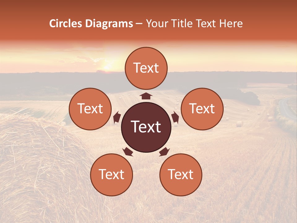 Straw Field PowerPoint Template