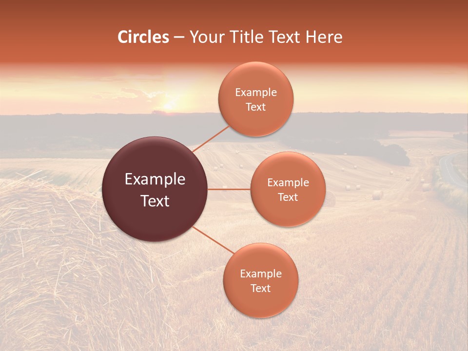 Straw Field PowerPoint Template