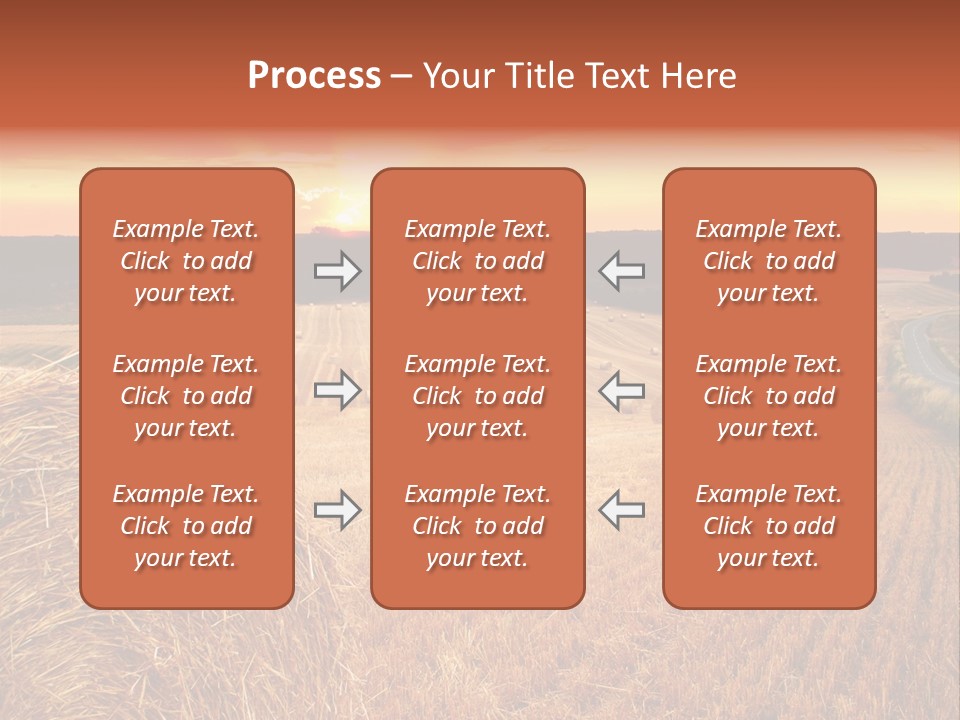 Straw Field PowerPoint Template