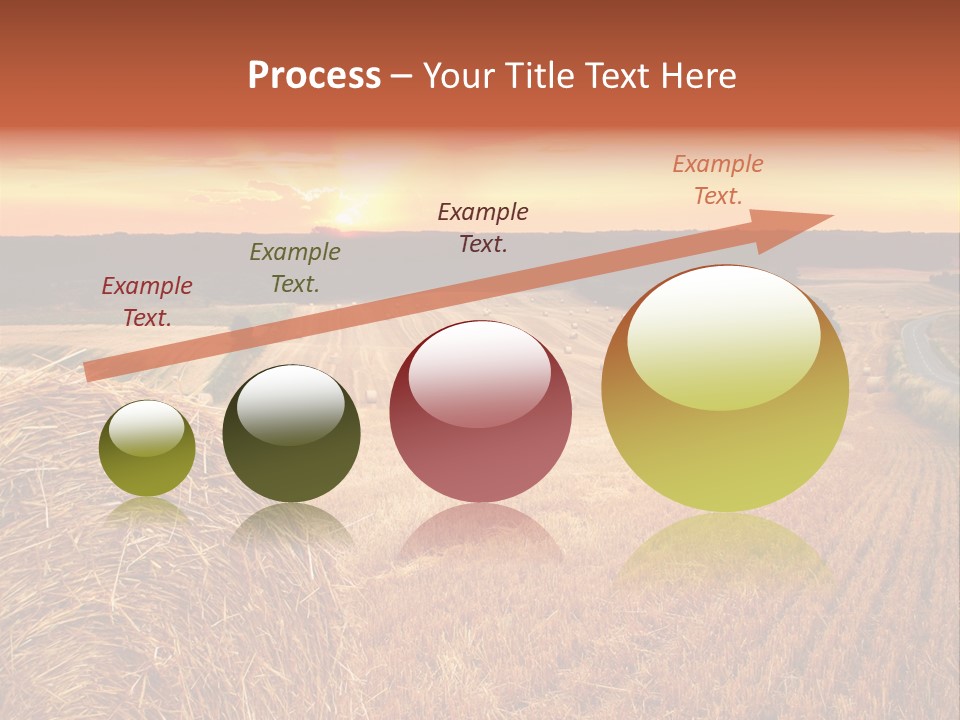 Straw Field PowerPoint Template